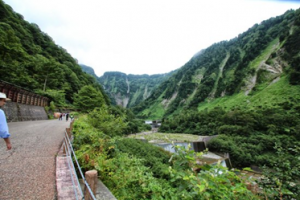 リフレッシュするため、７月に出かけたときは、緑がいっぱいの称名滝の遊歩道
